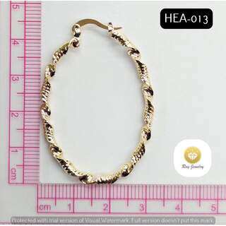 HEA013