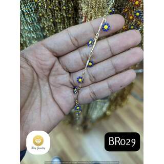 BR029