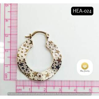 HEA024